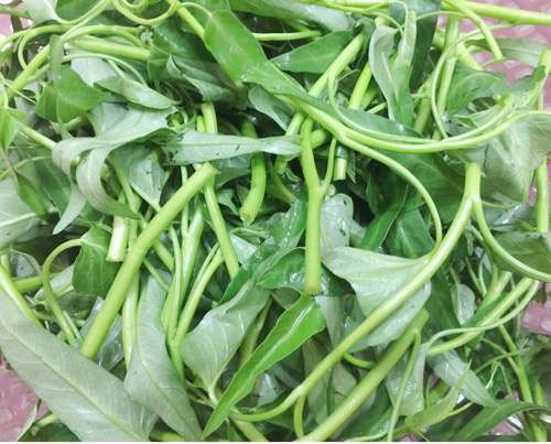 Đãi cả nhà vịt nấu chao ngày lễ - 4