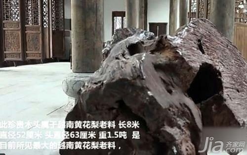 Trung Quốc bán cây thuộc họ gỗ sưa Việt Nam với giá 700 tỷ - 1