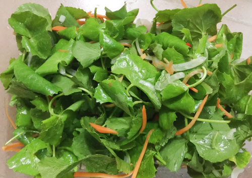 Gỏi rau má thịt bò cho bữa ăn ngày nóng - 8