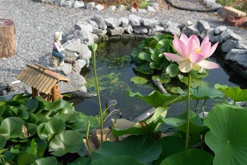 Khám phá bảo bối #039;hút tiền#039; của 12 con giáp - 2