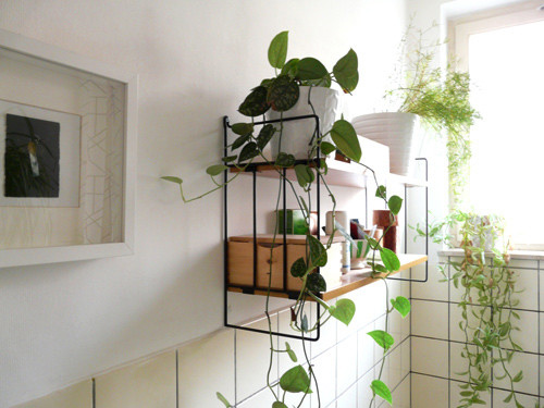 Khám phá bảo bối #039;hút tiền#039; của 12 con giáp - 1