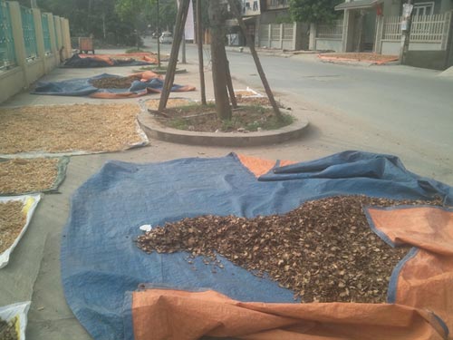 Đột kích #039;siêu thị thần dược#039;, đánh cược tính mạng với lang chợ - 1