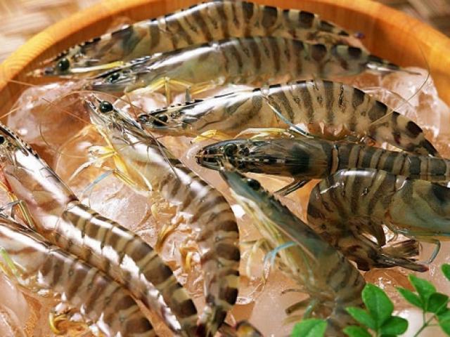 Cách chọn tôm, mực tươi không ngậm hóa chất