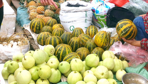 Thơm ngọt dưa bở vào mùa - 7