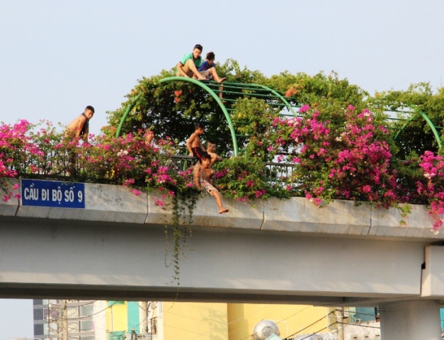 Nắng nóng, trẻ con Sài Gòn rủ nhau… nhảy cầu giải nhiệt - 1