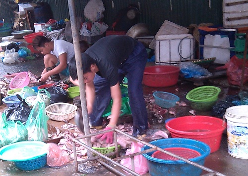 Cận cảnh đường đi của cá thối từ chợ đến quán ăn - 3