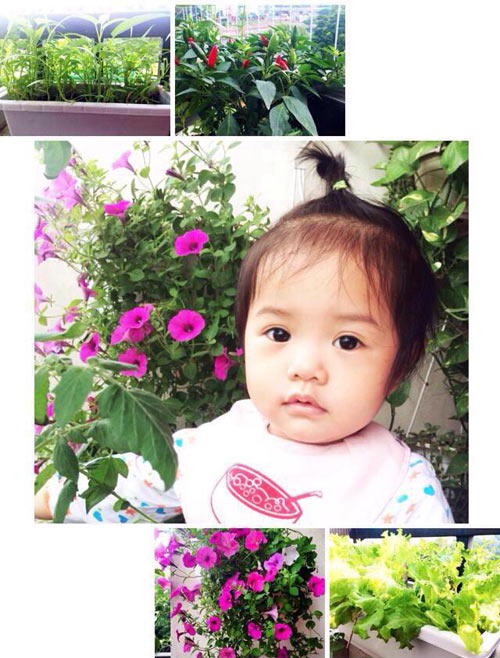 Phát thèm vườn rau sạch cho con ăn dặm của mẹ bé Na - 1