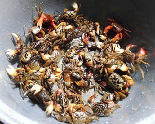 Canh cáy nấu mướp, rau đay thanh mát - 1