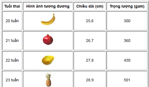 Chuẩn cân nặng thai nhi theo tuần tuổi - 5