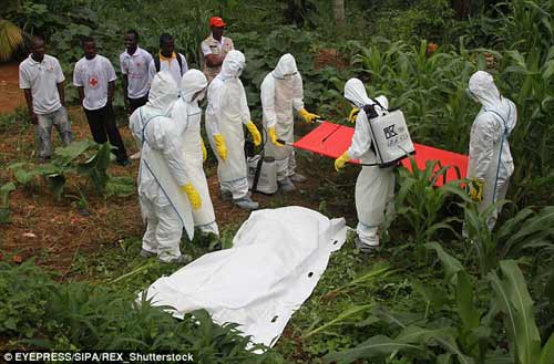 Trẻ mồ côi vì dịch Ebola bán thân để kiếm ăn qua ngày - 9
