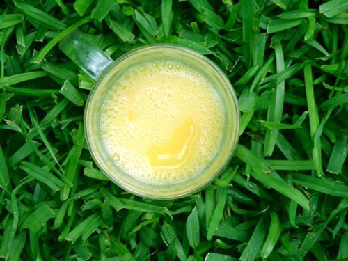 Tưới cây bằng nước hoa quả, tại sao không? - 1