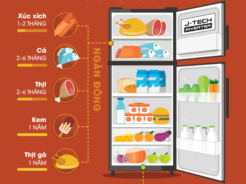 Bạn đã sử dụng tủ lạnh đúng cách chưa? - 2