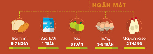 Bạn đã sử dụng tủ lạnh đúng cách chưa? - 3