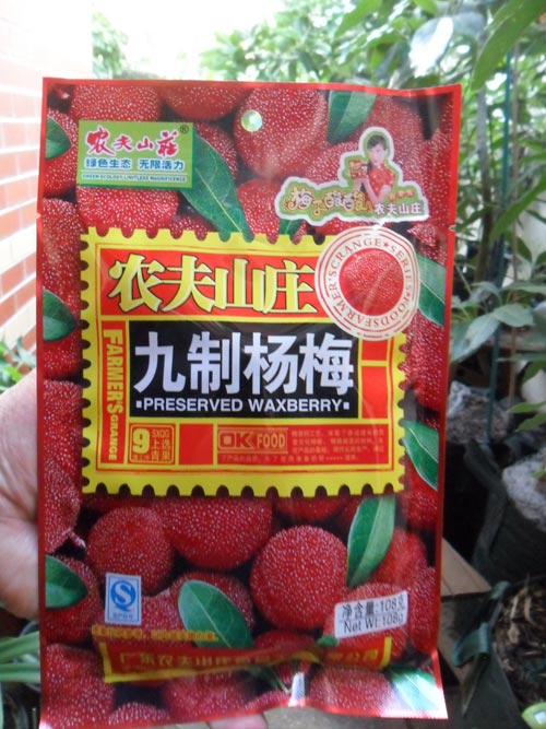 Thanh mai trồng chậu tự lớn, chẳng cần chăm - 3