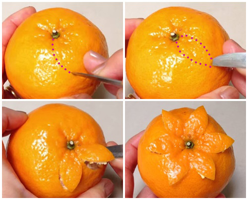Cách tỉa quả cam đơn giản mà đẹp mắt