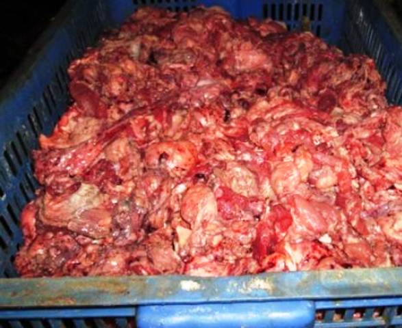 Kinh hoàng bò viên vàng ươm làm từ thịt heo thối - 1