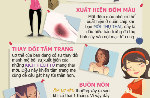 16 dấu hiệu sớm nhất khẳng định mẹ đã quot;dínhquot; bầu - 5