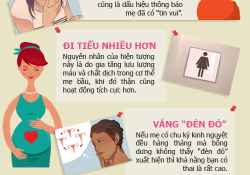 16 dấu hiệu sớm nhất khẳng định mẹ đã quot;dínhquot; bầu - 6