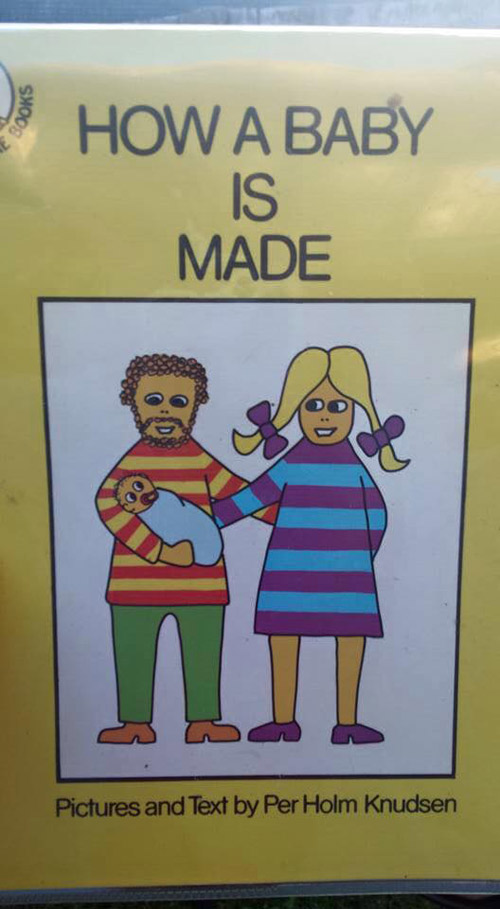 Choáng với hình vẽ trong sách #039;Em bé được tạo ra thế nào#039; - 1