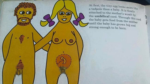 Choáng với hình vẽ trong sách #039;Em bé được tạo ra thế nào#039; - 2