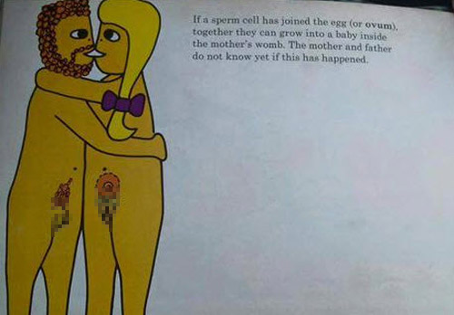 Choáng với hình vẽ trong sách #039;Em bé được tạo ra thế nào#039; - 4