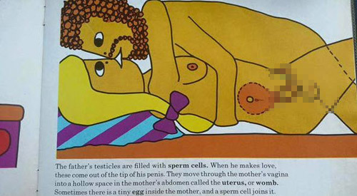 Choáng với hình vẽ trong sách #039;Em bé được tạo ra thế nào#039; - 3