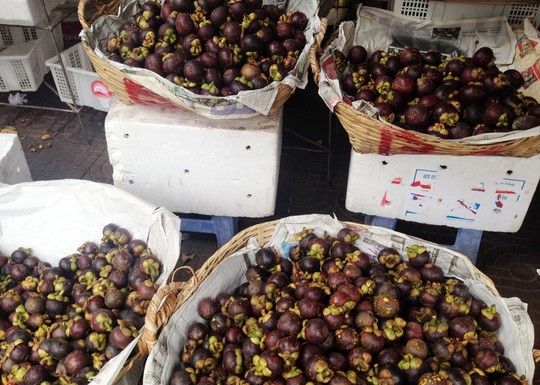 Không đủ măng cụt bán, nhà vườn tiếc nuối - 2