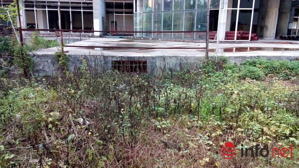 Bệnh viện quốc tế quot;5 saoquot; gần 20 năm xây dựng vẫn ngổn ngang - 14