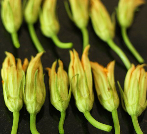 Hoa bí nhồi tôm, cá chiên giòn - 1