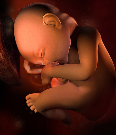 8 điều thú vị về thai nhi bác sĩ không nói với mẹ - 2