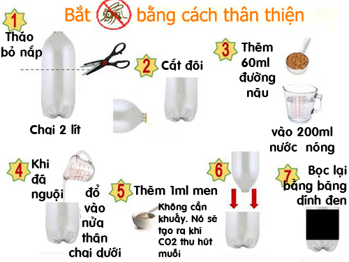 Các bí kíp tránh muỗi đốt đơn giản, tự nhiên, an toàn - 1