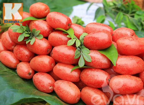 Thèm chảy nước miếng với nhót chín đầu mùa - 9