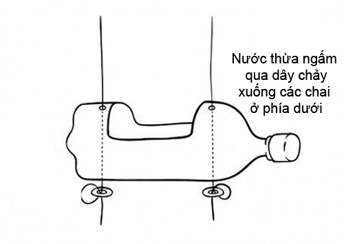 Vườn rau từ trăm chai nước ngọt quot;hotquot; nhất mạng xã hội - 7