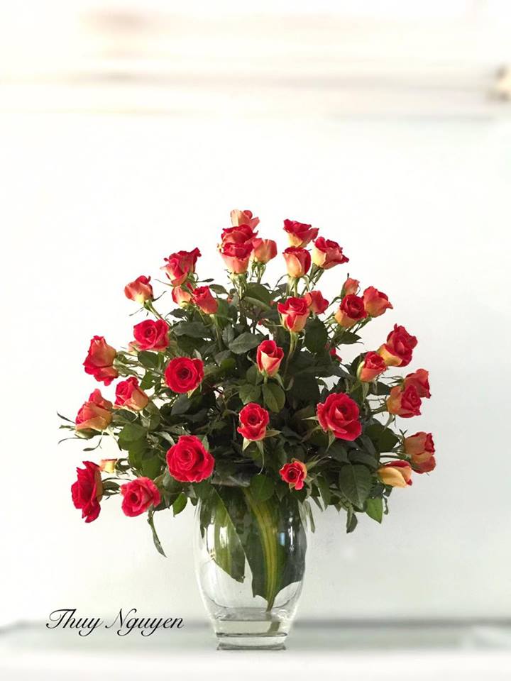 Những bình hồng trăm bông quot;nhìn là yêuquot; của mẹ U40 - 1