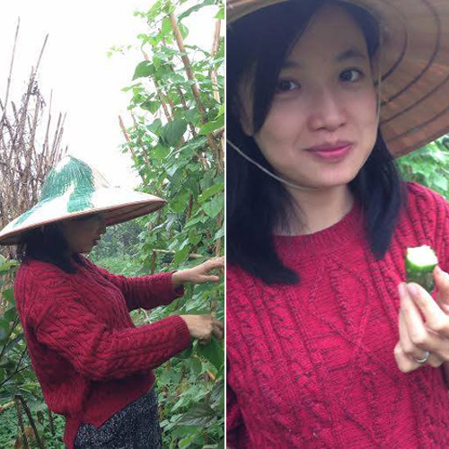 #039;Tiểu thư#039; giàu có bỏ Singapore về Việt Nam bán rau sạch vì bố bị bệnh - 1