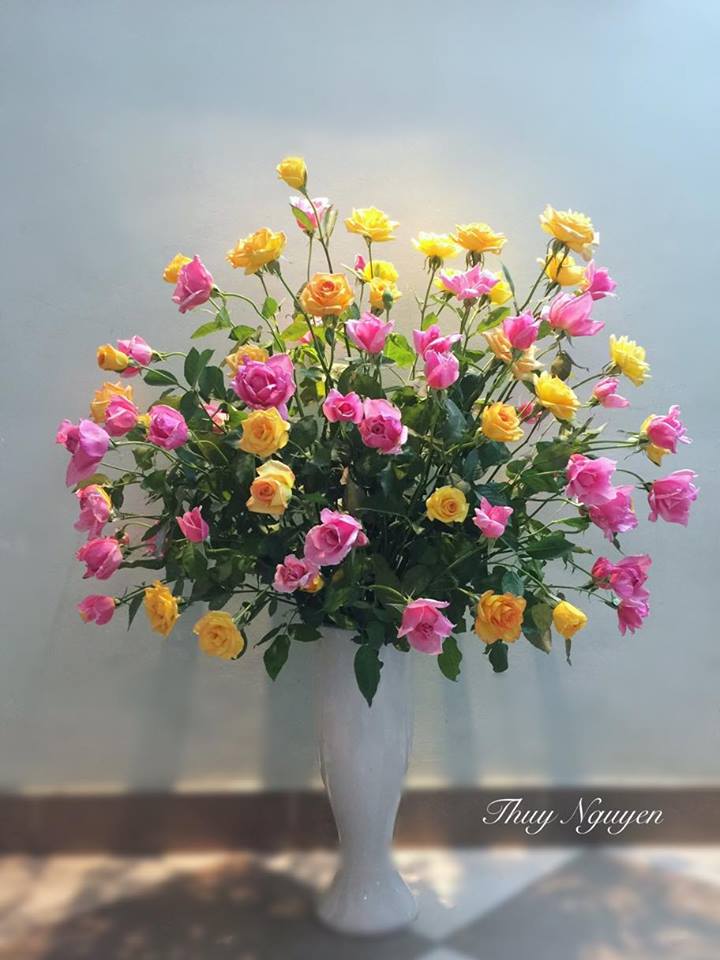 Những bình hồng trăm bông quot;nhìn là yêuquot; của mẹ U40 - 5