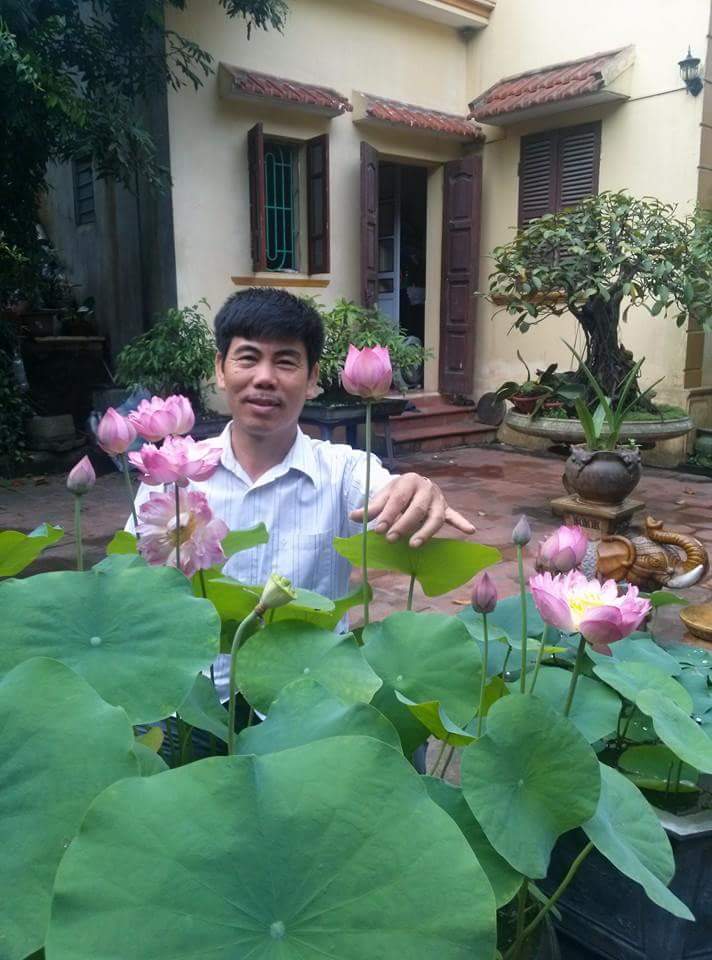 Trồng sen trong chậu: Không khó như ta tưởng - 6