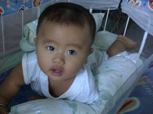 Nguyễn Quang Minh - AD58452 - Cậu bé má phính dễ thương - 2