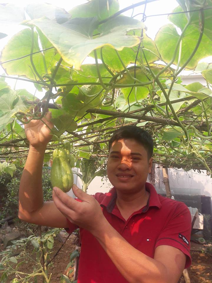 Lại quot;đốn timquot; vì vườn quả trên sân thượng của ông bố trẻ Đà Nẵng - 4