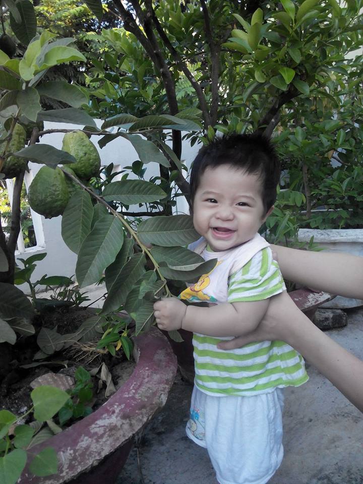 Lại quot;đốn timquot; vì vườn quả trên sân thượng của ông bố trẻ Đà Nẵng - 10