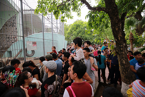 Công viên Thủ Lệ quot;nêmquot; chặt người ngày nghỉ lễ - 4