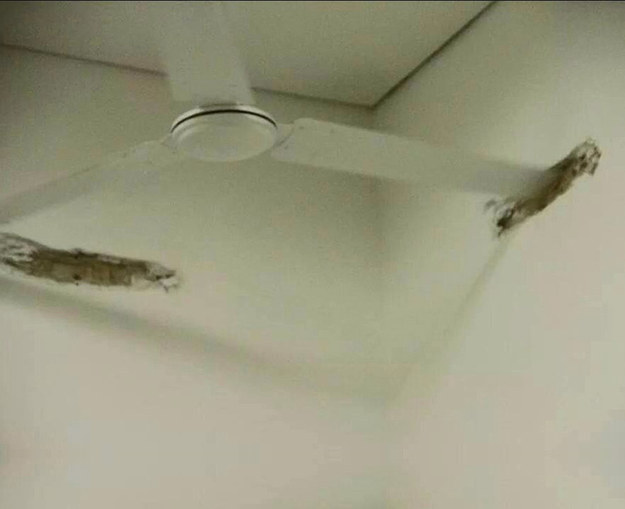 Cười nhăn răng trước những món đồ nội thất quot;lầy nhất quả đấtquot; - 10