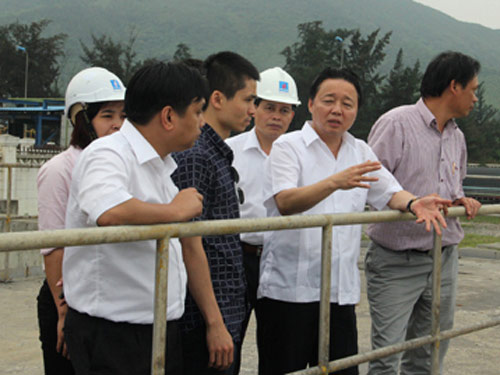 Mời nước ngoài tham gia điều tra sự cố cá biển chết - 2