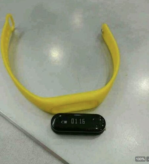 Xiaomi Mi Max và Mi Band 2 lộ “ảnh nóng” - 2