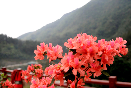 Tên hay cho bé trai bé gái sinh vào mùa hè - 2