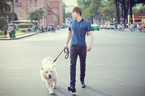 Nathan Lee rạng ngời khi dắt cún cưng đi dạo phố - 9