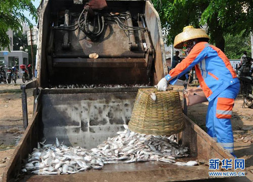 Ảnh: Hơn 20 tấn cá chết trắng hồ ở Trung Quốc - 7