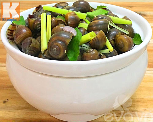 Cách luộc ốc mít ngon và pha nước chấm ốc hoàn hảo - 4