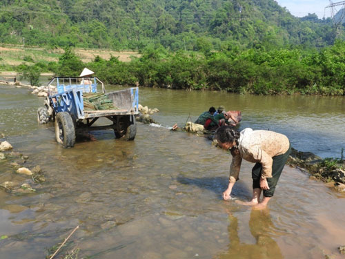 Thanh Hóa: Sông bốc mùi hôi, cá chết hàng loạt - 2