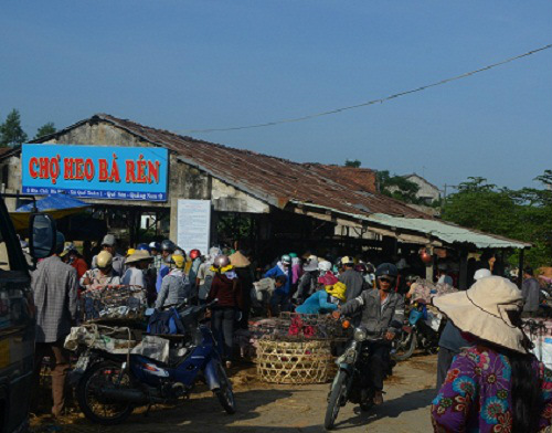 Những góa phụ làm nghề bế heo thuê - 1